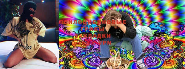 кокс Баксан