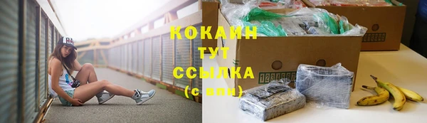 кокс Баксан