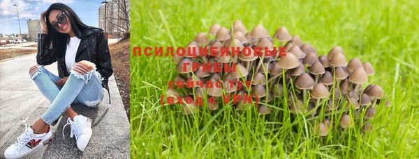 кокс Баксан